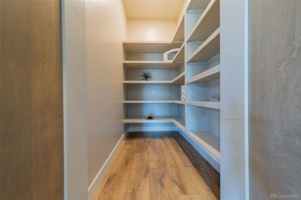 Interior, Walk-in Closets, Wood Texture Flooring