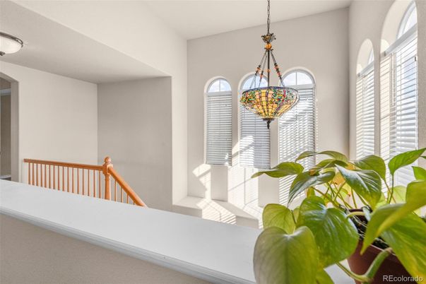 Interior, Pendant Lights