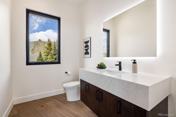 Bathroom, Interior, Wood Texture Flooring