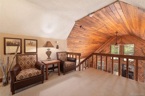 Interior, Wooden Ceilings