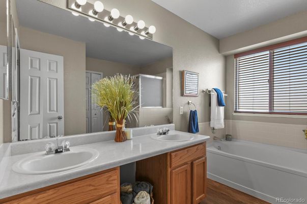 Bathroom, Dual Sink Vanities, Interior, Wood Texture Flooring