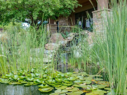 Exterior, Lake