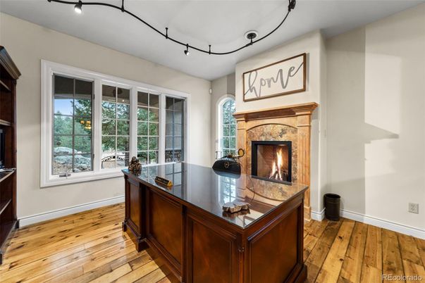 Fireplace, Home Office, Interior, Wood Texture Flooring