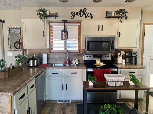 Interior, Kitchen, Stainless Steel Appliances, Wood Texture Flooring