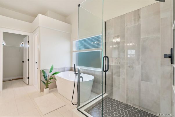Bathroom, Free Standing Baths, Glass Shower, Interior