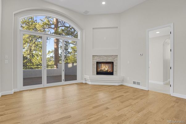 Empty room, Fireplace, Interior, Recessed Lighting, Wood Texture Flooring
