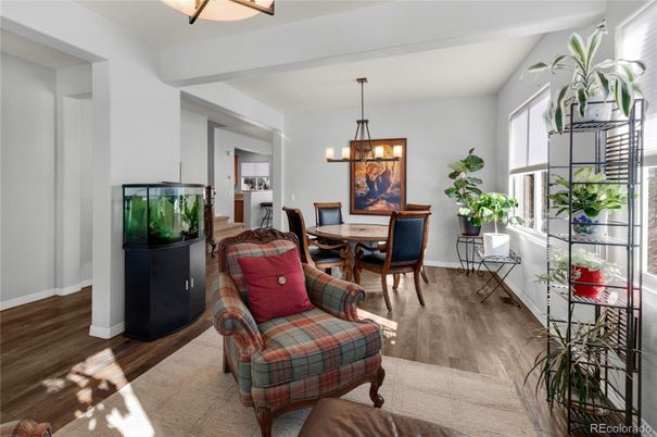 Dining room, Interior, Pendant Lights, Wood Texture Flooring