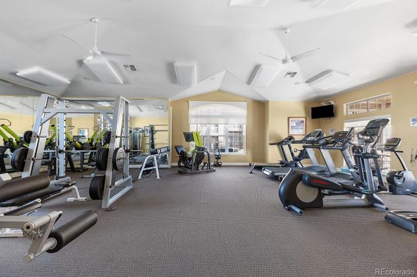 Fitness Equipment, Gym, Interior