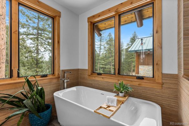 Bathroom, Free Standing Baths, Interior