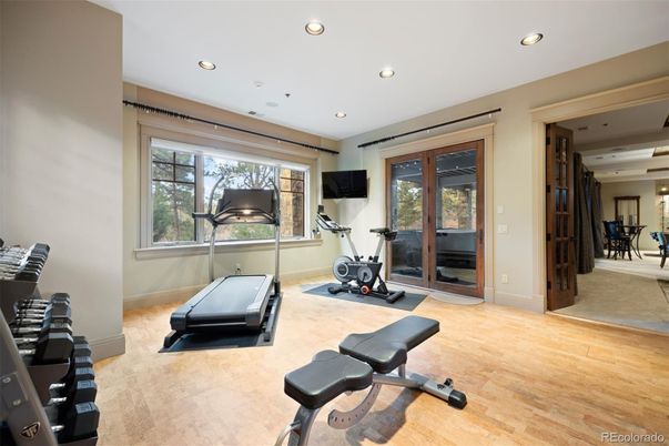 Fitness Equipment, Interior, Recessed Lighting, Wood Texture Flooring