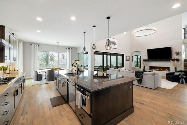 Dining room, Fireplace, Interior, Kitchen, Living room, Pendant Lights, Recessed Lighting, Stainless Steel Appliances, Wood Texture Flooring