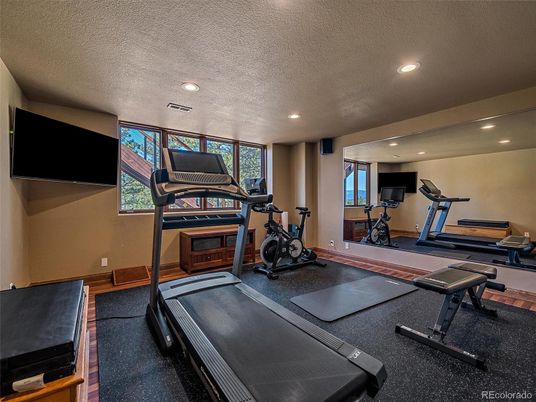 Fitness Equipment, Interior, Recessed Lighting, Wood Texture Flooring