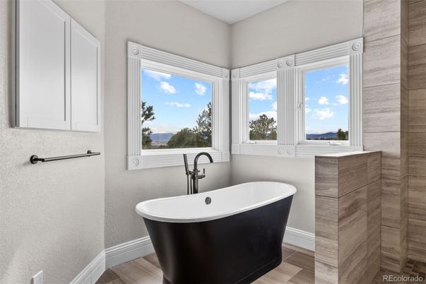 Bathroom, Free Standing Baths, Interior, Wood Texture Flooring