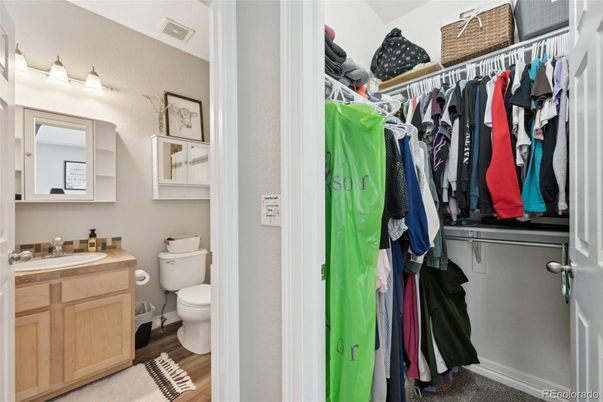Bathroom, Interior, Walk-in Closets, Wood Texture Flooring