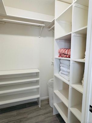 Interior, Walk-in Closets, Wood Texture Flooring