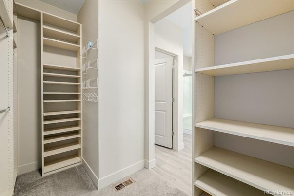 Interior, Walk-in Closets, Wood Texture Flooring