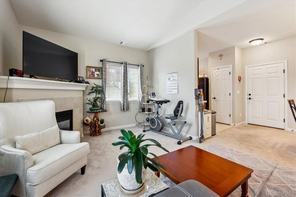 Fireplace, Fitness Equipment, Interior