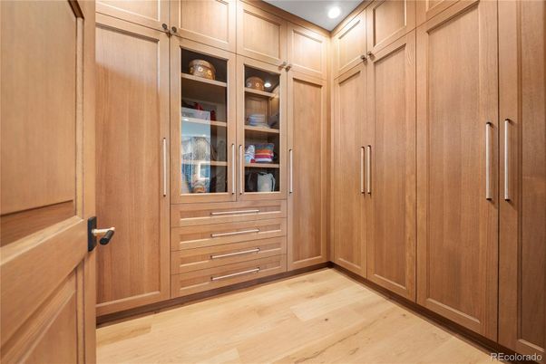Interior, Recessed Lighting, Walk-in Closets, Wood Texture Flooring