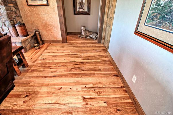 Interior, Wood Texture Flooring