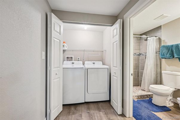 Bathroom, Interior, Utility Closets, Washer, Wood Texture Flooring