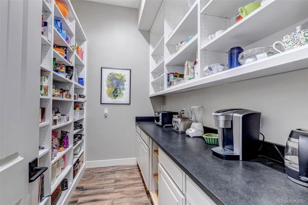 Interior, Walk-in Closets, Wood Texture Flooring