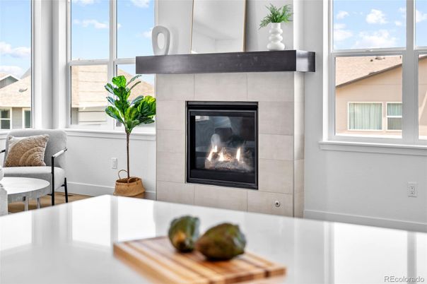 Fireplace, Interior