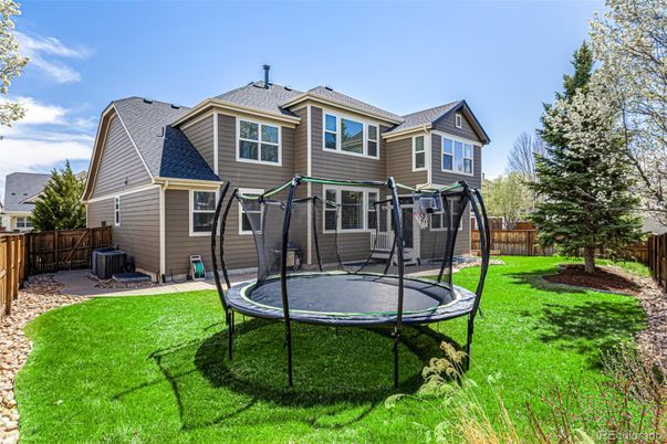 Backyard, Exterior, Playground