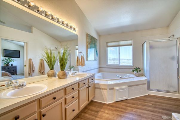 Bathroom, Dual Sink Vanities, Interior, Wood Texture Flooring