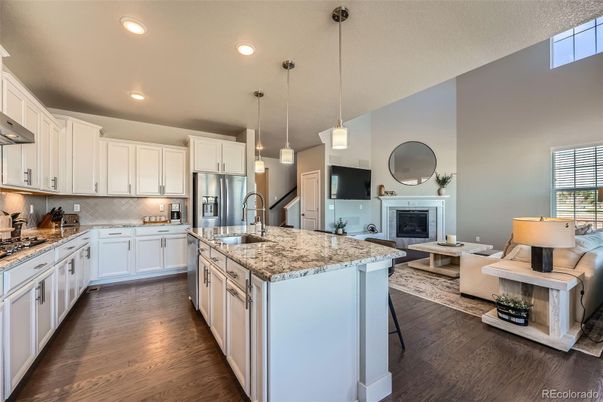 Fireplace, Interior, Kitchen, Living room, Pendant Lights, Recessed Lighting, Stainless Steel Appliances, Wood Texture Flooring