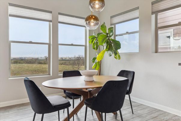 Dining room, Interior, Wood Texture Flooring