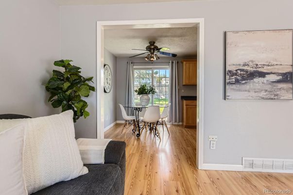 Dining room, Interior, Wood Texture Flooring