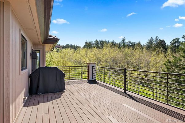 Exterior, Wood Texture Flooring