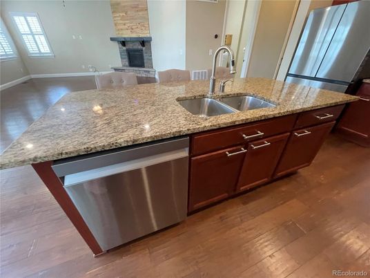 Fireplace, Interior, Kitchen, Stainless Steel Appliances, Wood Texture Flooring