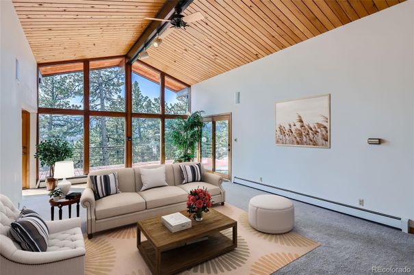 Interior, Living room, Wooden Ceilings