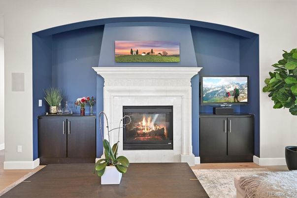 Fireplace, Interior, Wood Texture Flooring