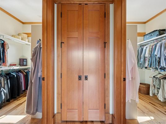 Interior, Walk-in Closets, Wood Texture Flooring