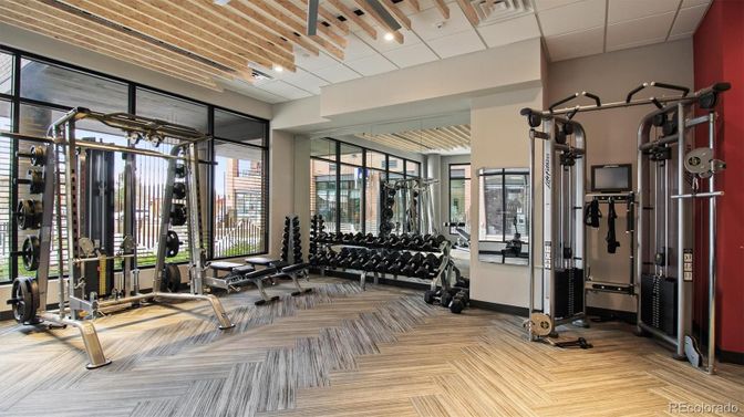 Fitness Equipment, Gym, Interior, Wood Texture Flooring