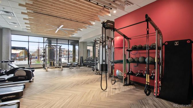 Fitness Equipment, Gym, Interior, Wood Texture Flooring
