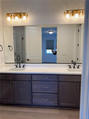 Bathroom, Dual Sink Vanities, Interior, Wood Texture Flooring