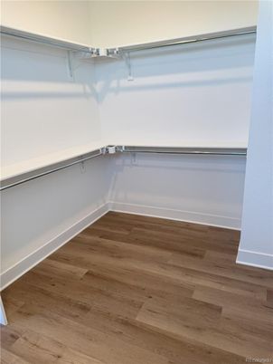 Interior, Walk-in Closets, Wood Texture Flooring