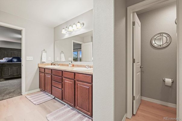 Bathroom, Dual Sink Vanities, Interior, Wood Texture Flooring