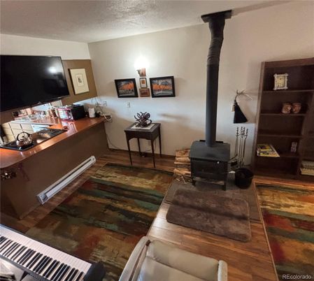 Fireplace, Interior, Wood Texture Flooring