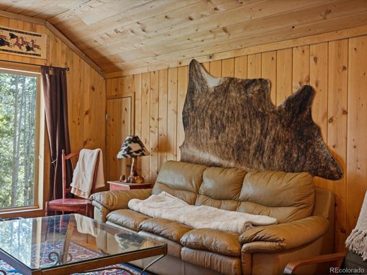 Interior, Living room, Wooden Ceilings, Wooden Walls