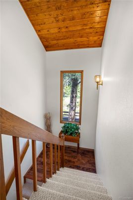Interior, Wooden Ceilings