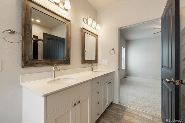Bathroom, Dual Sink Vanities, Interior, Wood Texture Flooring