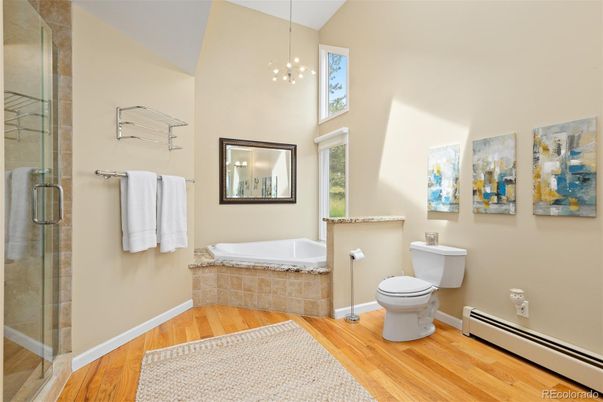 Bathroom, Glass Shower, Interior, Pendant Lights, Wood Texture Flooring