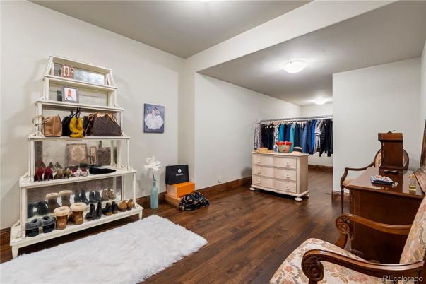 Interior, Walk-in Closets, Wood Texture Flooring