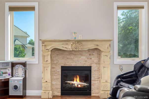 Fireplace, Interior, Wood Texture Flooring