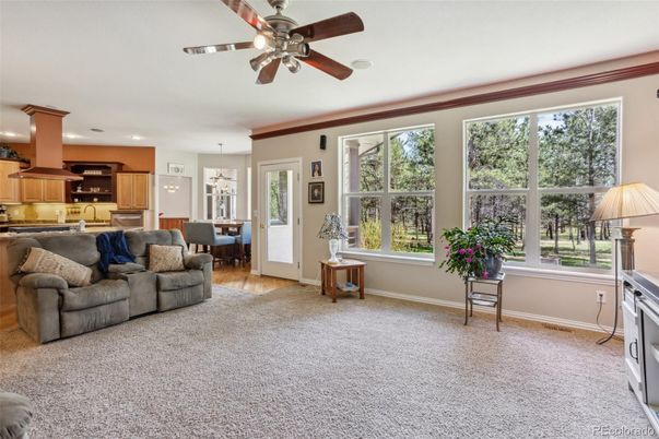 Dining room, Interior, Kitchen, Living room, Pendant Lights, Recessed Lighting, Stainless Steel Appliances