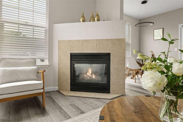 Fireplace, Interior, Pendant Lights, Wood Texture Flooring